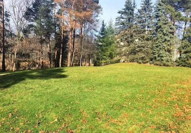 Open rural land at golden hour in New York's Capital Region