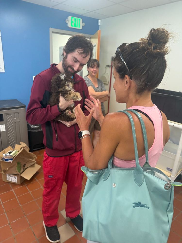 Penny - Gotcha day - the nice guy from the Humane Society