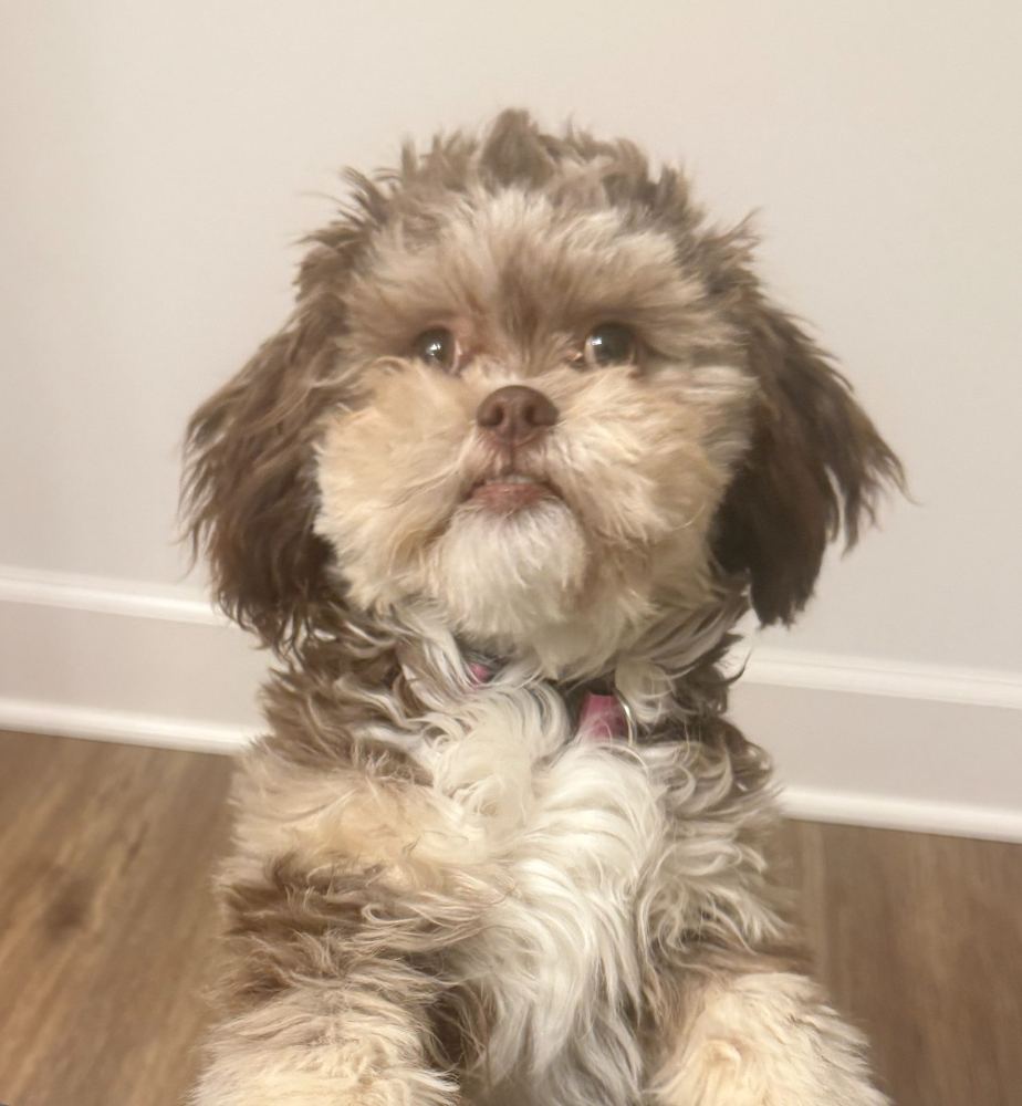 Penny - On duty