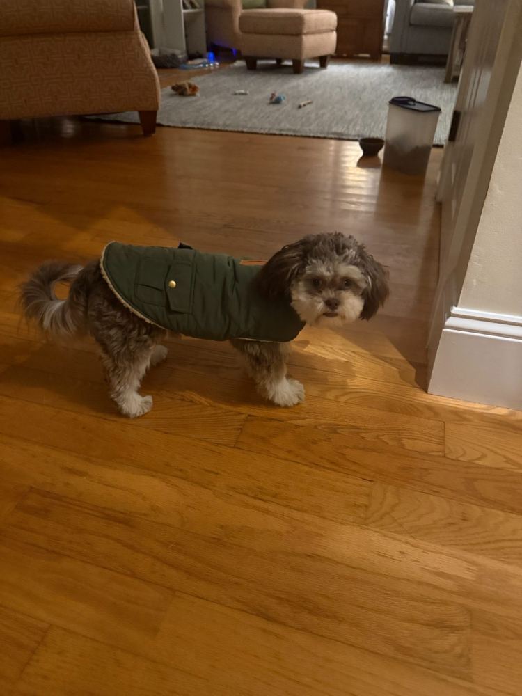 Penny - Say cheese