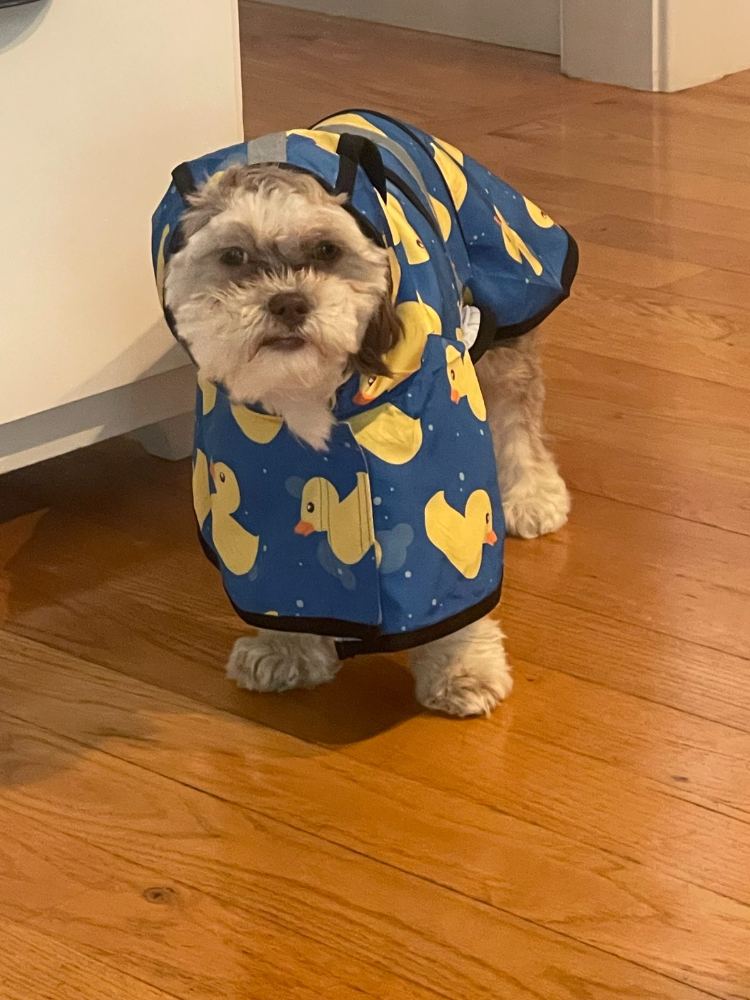 Penny - That face