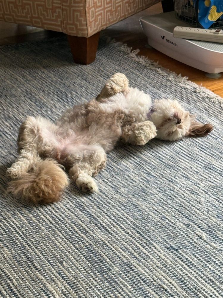 Penny - Hi, I'm Penny